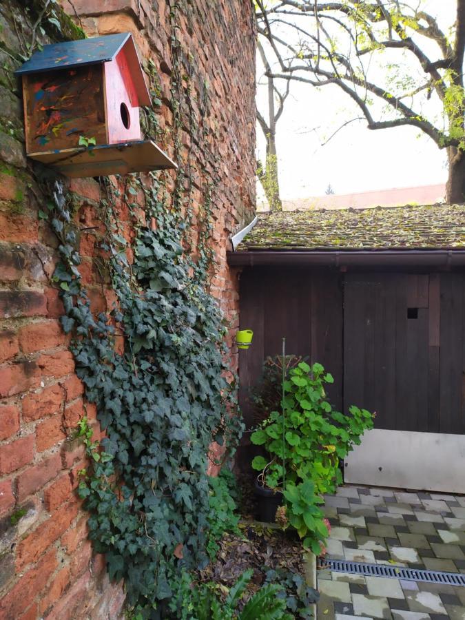 Apartment Tiny Cozy Zagreb