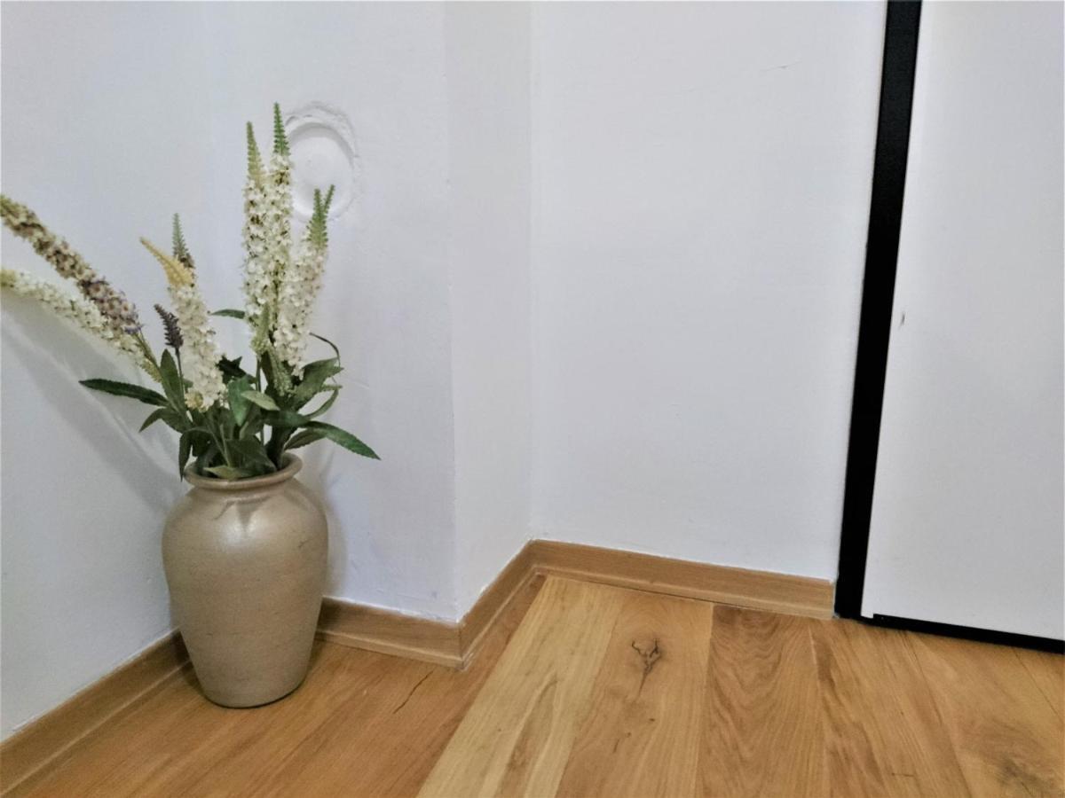 Apartment Tiny Cozy